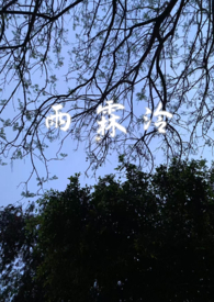 雨霖泠（sc，强制爱，前世今生）雨霖泠（sc，强制爱，前世今生）