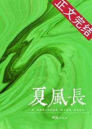 夏风长夏风长